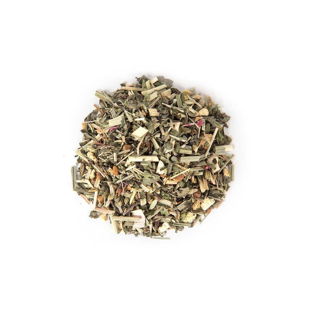 Cool Mint Teabrewer
